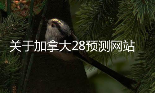 关于加拿大28预测网站的信息 